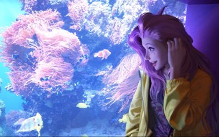 网游单机版游戏怎么下副本，网游单机版怎么做的